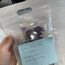 뭉개뭉개인강릉 이미지