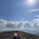 부산 금백종주 후기(금정산 단풍 억새 정말 예쁘다)