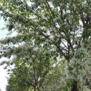 초록건강한약국 이미지