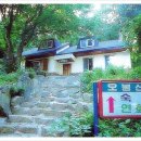 솔잎국수 이미지