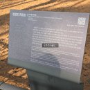 비석공원길 | 단종 유배지 영월 청령포 | 왕과 사는 남자 촬영지 방문 후기 + 입장료·주차 정보