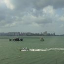 월미농장 이미지