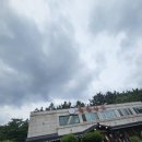 정림동 착한낙지 솔직 후기