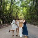[보홀 육지투어] 필굿 데이투어 솔직 후기 | 보홀 초콜릿힐, 안경원숭이, 반딧불 투어 다녀왔어요