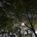 오이도작은도서관 | 첫눈까지는 낭만이지만 그 후로는 재난이다