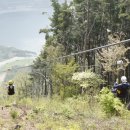 보현산댐 짚와이어 이미지