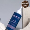 뷰티로아 | [다이소 뷰티] 리노이아 워터 트리트먼트 내돈내산 솔직 후기