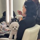 데이지미용실 이미지