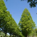 운현공원 이미지