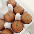 대한맥반석 이미지