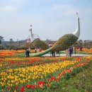 빨강궁전 | 2026 태안 세계튤립꽃박람회 4월 꽃축제 후기