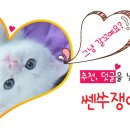 양재초급 이미지