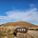현대중공업 서부문 앞 | 제주도 여행, 제주 서부 풍광이 한눈에, 갈대숲의 향연, &#34;새별오름&#34;