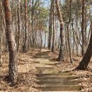 경남 창녕군 마분산(180m) 우슬봉(220m) 개비리길~. 이미지