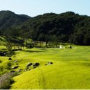 렉스사우나 이미지