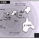 수영여 Daum카페
