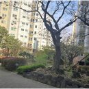 권선자이114공인중개사사무소 | 정확하고 안전한 부동산 거래, 권선동권선자이를 만난 후 안심이 두 배로 늘어난 이유