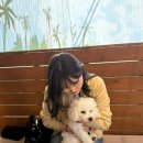 둔산중로-36 이미지