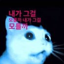 서미정 | 하이디라오에서 뺨 맞아 보신 분?