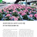 하일농장 이미지