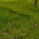 약초원근린공원 이미지