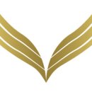 오토드림 이미지