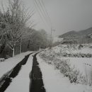 개심사입구 주차장 이미지