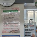 고양이랑놀자 | 인천 무마취 고양이 미용 야옹아놀자 후기