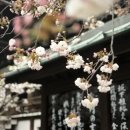 현지에서 바로 써먹는 여행 일본어(초중급) | 기초일본어회화인강으로 공부하면 노베이스도 말문 트기 가능해요