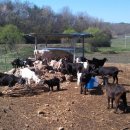 태봉농장 이미지