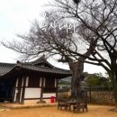 목사내아 | 이런 곳이 있었다고? 나주 목사내아 금학헌 방문기