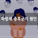 파랑새정신건강의학과의원 이미지