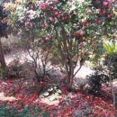 공곶이 언덕 이미지