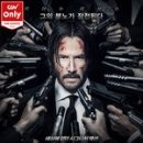 시도 | 윅 2 : 리로드 (John Wick 2 Chapter two, 2017) 소토리를 말하는 것은 안하느니 못하지만, 액션은....!!!