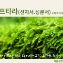 36주(6/2-화)＜하프타라＞-"베하알로테카(등불을)(스가랴2:10~4:7)"(선지서.성문서읽기와 해석) 이미지