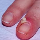 예스연합의원 이미지