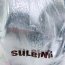 설빙탕정점 | [아산 탕정]4월 8일에 출시한 설빙 신메뉴 5,000원...덕후 취향저격 '팥절미 말차설빙' 내돈내산 만족 후기