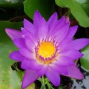 티나하우스 이미지