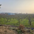 거성농원 이미지