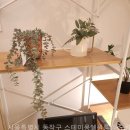 스테이몽쉘원룸텔