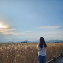 순천만 그리고 나 이미지