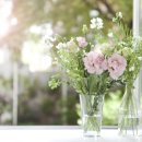 신영통부부한의원 이미지