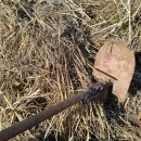 갱이농장 이미지