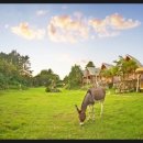 수공목장 이미지