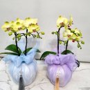 천호대로 213길 | 강동 승진화분 고급스러운 개업난 후기