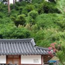 깨비네집 이미지