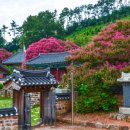 역사힐링코스 이미지