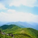 전북/무주 덕유산 철쭉산행【15년6월6일】