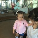 도안동 아기와 엄마들한테 넘넘 좋은 키즈카페♥ &lt;슈슈봉봉 프렌즈&gt;에서 신나♡ 위치/정보/리얼 후기