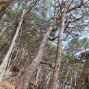 썬크루즈삼거리옆 - 좌 | 영남알프스 영축산 지산마을 코스